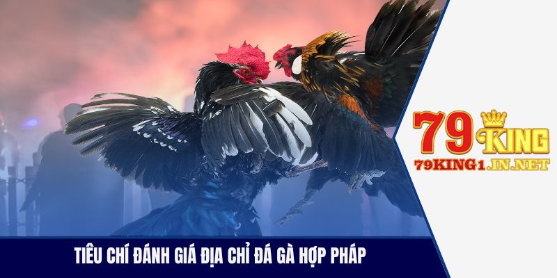 Tiêu chí đánh giá địa chỉ đá gà hợp pháp 